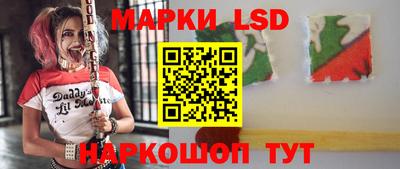 mdpv Заводоуковск