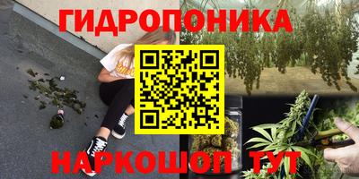 mdpv Заводоуковск