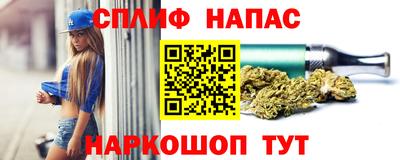 mdpv Заводоуковск