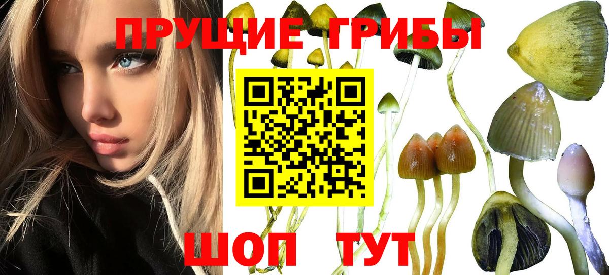 Домодедово  Галлюциногенные грибы мухоморы  Вход с VPN 